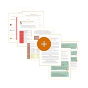 Schwangerschafts&shy;bundle